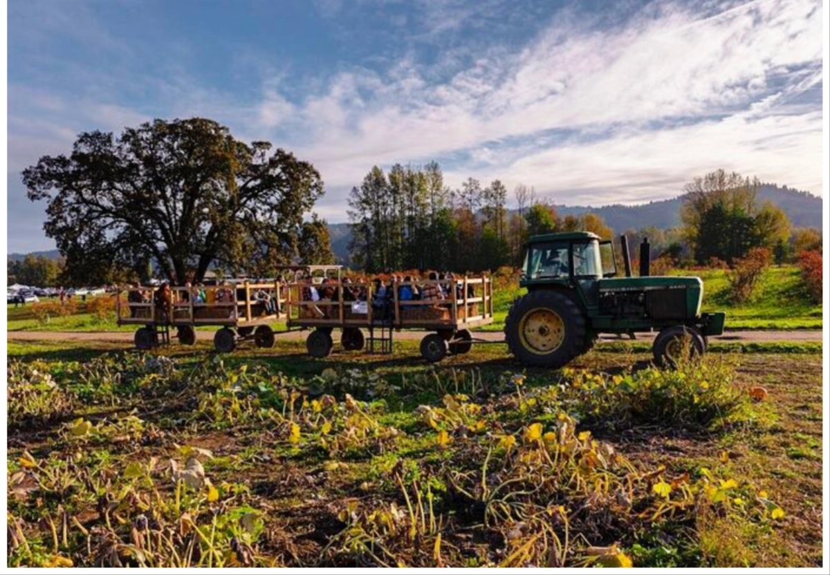 A hayride at Topaz Farm.